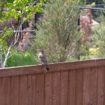 2E0FC36F-283F-474F-8B7E-585EBA66F641_1_105_c