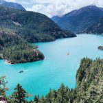 5521527C-ECEE-439B-AF41-1FC02EE8ACBA_1_105_c