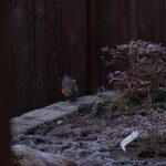 6662130A-272E-4B58-877A-B27490B6A1BB_1_105_c