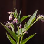 99F60AD3-B5F8-471E-B7A2-0B1952B76FF4_1_105_c